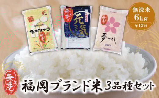 
            U17-89-01 無洗米 福岡県産3種セット6kg定期便(毎月・年12回) お米 米 こめ コメ ブランド米 夢つくし ヒノヒカリ 元気つくし 白米 人気 おすすめ 精米 無洗米 ゆめつくし ひのひかり げんきつくし 福岡県産米 食料品 福岡県 定期便
          