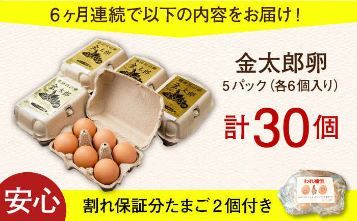【全6回定期便】【TVで紹介！】鮮度ＡＡ級の世界最高ランク！金太郎卵 平飼い たまご 30個（6個×5パック）＜有限会社 フジノ香花園＞那珂川市 [GAM018]