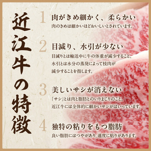 【冷蔵でお届け可】近江牛鉄板・焼肉用特選ロース肉　500g