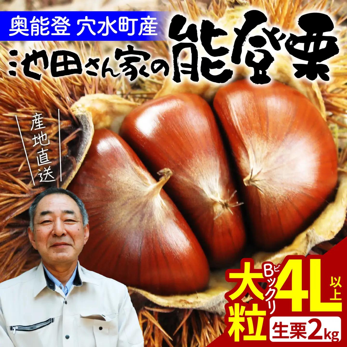 【先行予約】奥能登 池田栗園の能登栗 約2kg Bックリ！大粒4Lサイズ以上 | 栗