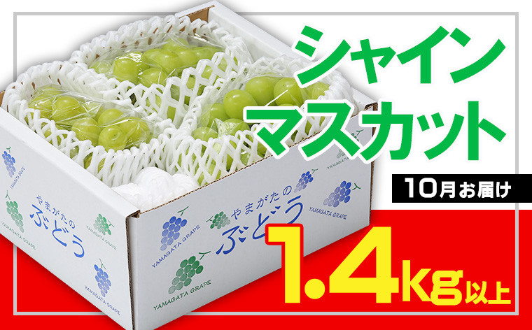 
            ☆フルーツ王国山形☆シャインマスカット 秀品 1.4kg以上(2～4房)[10月お届け]  【令和7年産先行予約】FS23-830 くだもの 果物 フルーツ 山形 山形県 山形市 2025年産
          