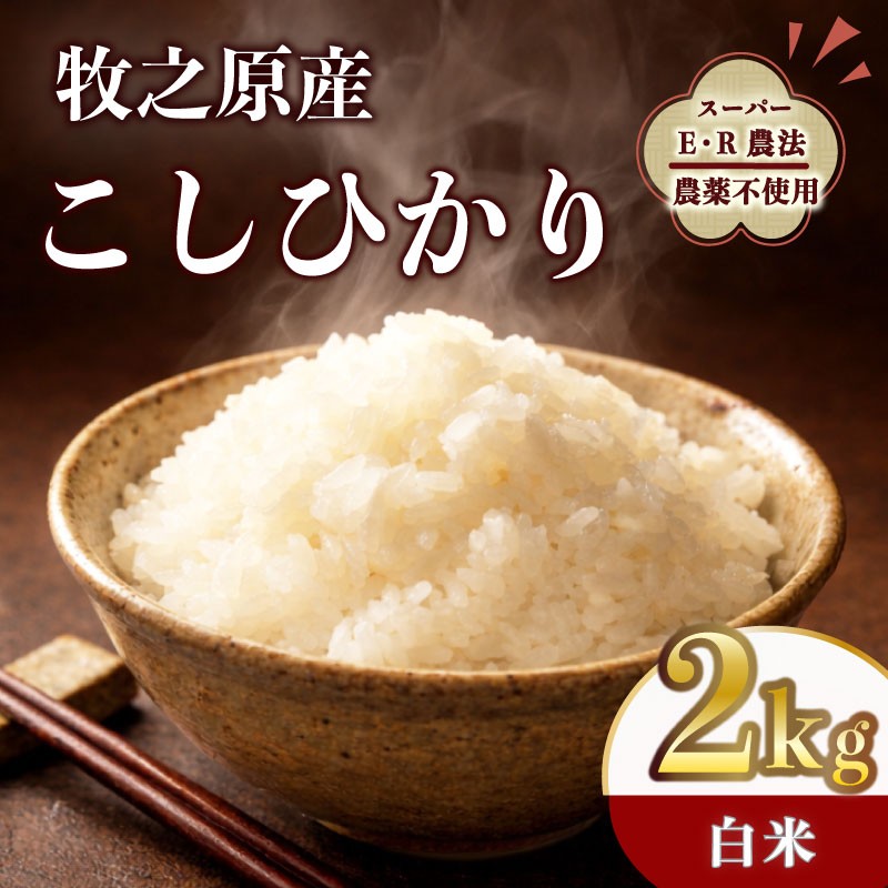 
                  【国産 お米】コシヒカリ 2kg 令和7年度産 お米 白米 新米 白米 精米 ご飯 白 ごはん ごはん ご飯 おいしい 美味しい こめ コメ おこめ おすすめ オススメ おにぎり お弁当 食品 おむすび ギフト プレゼント 日常 家庭用 食卓 もちもち 甘い 国産 産地直送 産直 食 食品 和食 日用品 家庭 牧之原産日常 上品  国産 大澤農園  静岡 県 牧之原 市
                