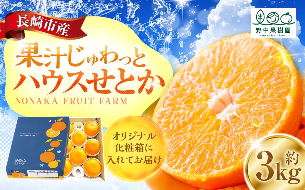 
                   ハウスせとか 3kg 8～15玉 化粧箱セット 【2027年2月下旬～3月上旬発送予定】／ フルーツ 果物 くだもの ミカン みかん 野中果樹園 オンライン決済限定 アフター保証 長崎県 長崎市
                