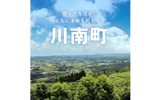 【3ヶ月定期便】伊藤園 お～いお茶 緑茶（2L）＆濃い茶（2L）(PET）12本 【 お茶 飲料類 緑茶 濃い茶 PET セット 詰め合わせ 飲みもの 全3回 】