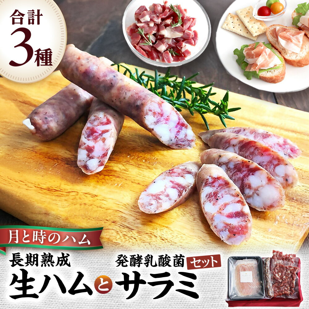 【ふるさと納税】田島畜産の月と時のハム(長期熟成生ハム)と発酵乳酸菌サラミセット 長期熟成 生ハム ハム 塩漬け サラミ 豚肉 ミンチ モモ肉 骨付 冷凍便 佐賀県 太良町 NB38