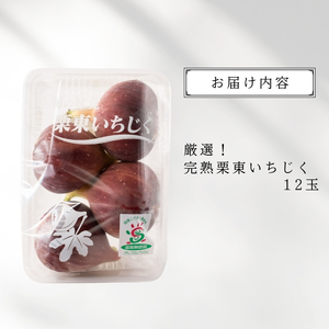 【先行予約受付中】厳選！完熟 栗東いちじく 12玉入り 2025年7月末より順次出荷 | 朝採れ ハウス栽培 果物 いちじく いちぢく 無花果 イチジク 完熟 生 先行予約 滋賀県 栗東市