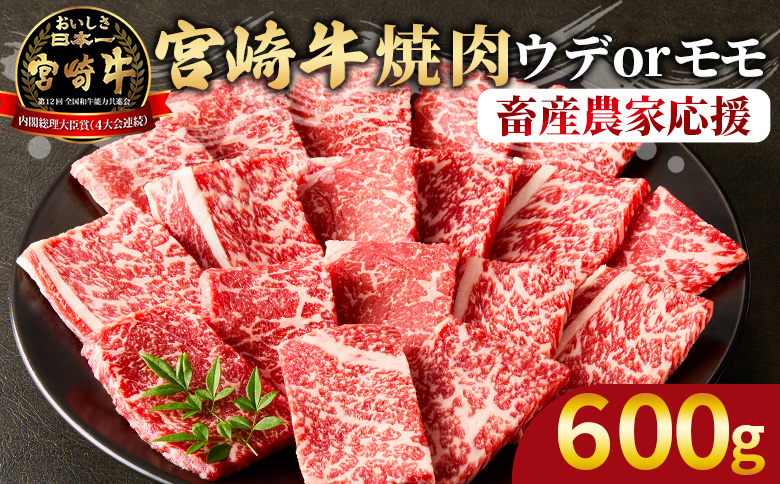 【畜産農家応援】＜宮崎牛 赤身焼肉 1パック（600g）＞2025年10月に順次出荷【肉 牛肉 宮崎牛 国産牛 ブランド牛 赤身 ミヤチク】