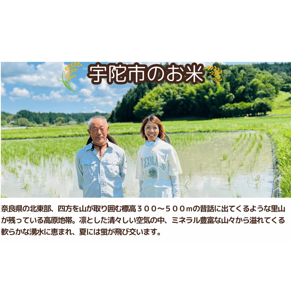 先行予約販売★自然栽培米★新米【令和6年産】玄米　 奥大和高原米3kg ９月末より順次発送,自然栽培米,新米,令和6年産,玄米,奥大和高原米,農家やまおか,無農薬,国産,お米,奈良県,宇陀市無農薬_イ