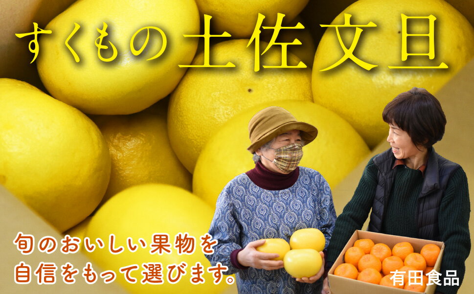 【ふるさと納税】 有田食品 土佐文旦 10kg 家庭用 小玉 Mサイズ 柑橘 果物 フルーツ みかん ぶんたん ブンタン 高知県産 産地直送 贈答用 ギフト 特産品 旬 甘い 美味しい 国産 特大 完熟 果汁 新鮮 冬 おいしい 新鮮 お歳暮 お取り寄せ 宿毛市 高知市