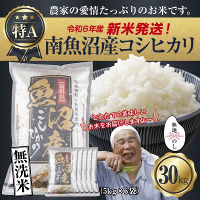 ふるさと納税 南魚沼市 【無地のし】無洗米 令和7年産 南魚沼産 コシヒカリ 30kg (お米の炊き方ガイド付)