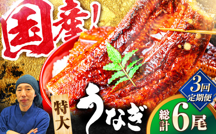 【全3回定期便】国産！九州仕立ての特大うなぎ蒲焼 計400g（200g×2尾）吉野ヶ里町/株式会社フジマキ うなぎ ウナギ 国産 [FDM008]