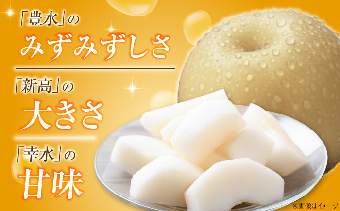 フルーツ松本のあきづき梨 5～6玉入り 〈2026年9月～発送〉 ／ フルーツ 果物 くだもの 食品 人気 おすすめ 送料無料 梨 なし あきづき梨 季節のフルーツ 【株式会社内子フレッシュパークから