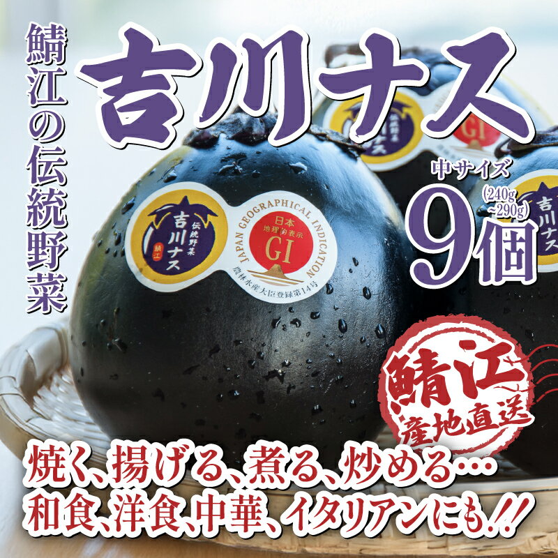 【ふるさと納税】【先行予約！6月20日以降順次発送予定】期間限定 吉川ナス 1箱（9個入）/ 丸ナス なす 茄子 伝統野菜 野菜［A-05906］