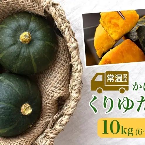 【ふるなびWEEK対象】くりゆたか かぼちゃ 10kg 6～8玉 カボチャ 南瓜 野菜 秋 ホクホク 甘い 味覚 北海道 美深町 北はるか農業協同組合 