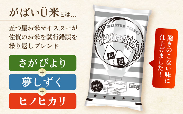 がばいU米（うまい）【無洗米】 10kg（5kg×2袋） 【大塚米穀店】 [HBL117]
