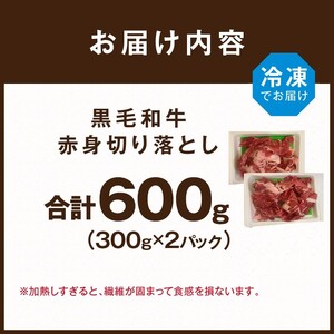 【肉のまち かこがわ】黒毛和牛 赤身切り落とし スライス300g×2 《 黒毛和牛 和牛 牛肉 赤身 お肉 切り落とし 》