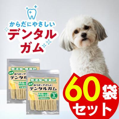 ふるさと納税 久留米市 からだにやさしいデンタルガム 小型犬用 S 16本×60袋(久留米市)