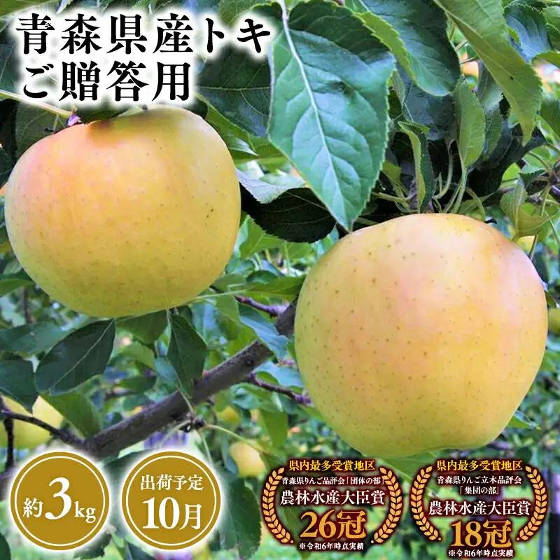 りんご 贈答用 トキ 3kg [hi-0053-020]