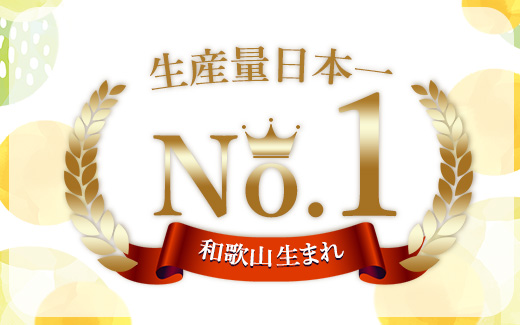 【まごころ手選別】和歌山産 有田みかん 3kg 家庭用(2S～2Lサイズ混合) ※2025年11月上旬～2026年1月下旬頃に順次発送予定