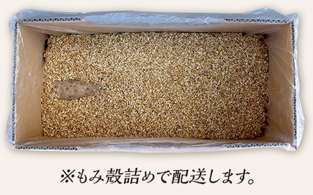 【訳あり】それでも美味しい！こだわって作った産地直送 長野県山形村産 長芋 4kg 箱入れ