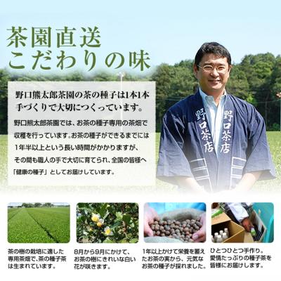 ふるさと納税 境町 【創業明治七年 老舗茶屋謹製】 割れない 透明 大急須 & 特上茎茶 280g×1袋 セット |  | 03
