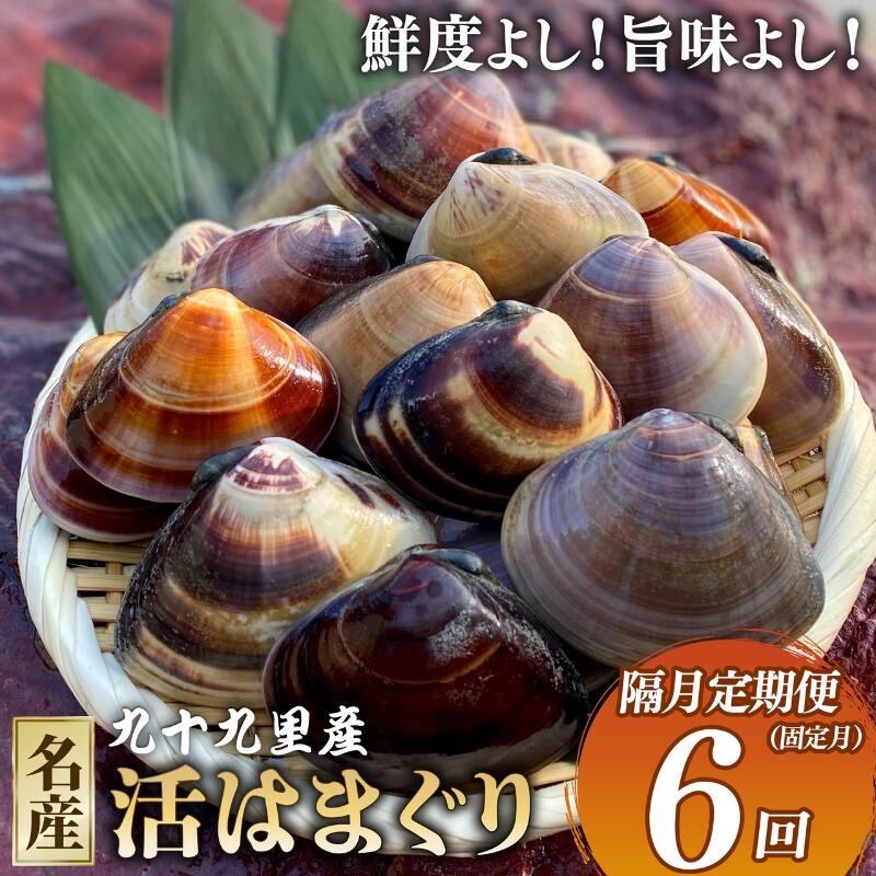 【ふるさと納税】 定期便 天然 活はまぐり 全6回発送 定期便 固定月 九十九里産 国産 はまぐり ハマグリ 蛤 hamaguri 貝類 貝 魚介 バーベキュー お吸い物 産地直送 プレゼント 送料無料 千葉県 旭 飯岡ヤマイチ水産-大納屋- 千葉県 旭市