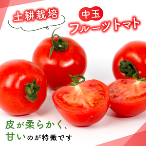 トマト3種食べ比べ アイコ ラブリーさくら フルティカ 約2.2kg 大瀧農園 トマト 完熟トマト 野菜 産地 直送 人気 国産 愛媛県 愛南町 発送期間：2026年3月1日～7月頃まで（※なくなり次