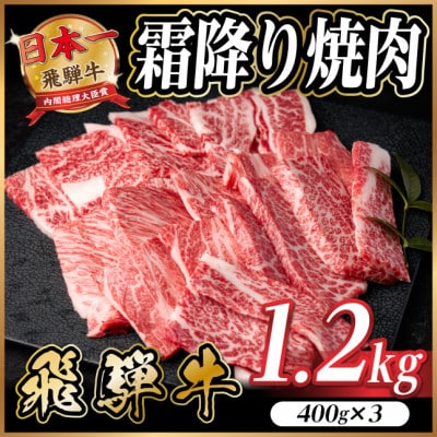 飛騨牛 霜降り焼肉 約1.2kg(約400g×3)BBQ用(上カルビ、肩ロース、カイノミなど)訳あり【配送不可地域：離島】