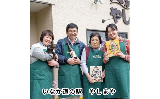 たけのこカレー1人前×4個セット