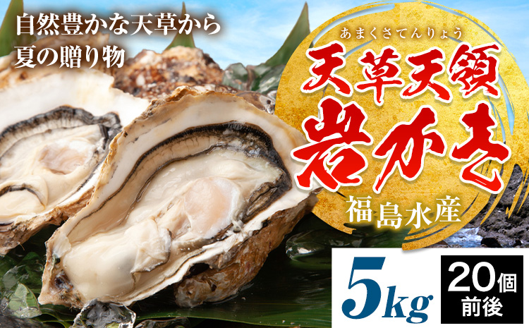天領岩牡蠣 約5kg 福島水産《4月上旬-6月末頃出荷》熊本県 苓北町 牡蠣 かき カキ 岩カキ 岩ガキ 貝 BIG ビッグ 生食 バーベキュー 夏天草 天領 苓北 熊本 旬 シーズン 送料無料【配送不可地域あり】---e04r611---