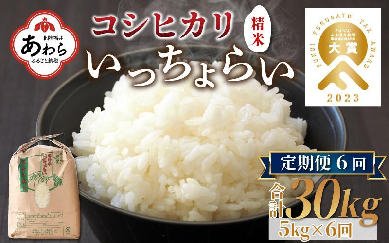 
            【令和6年産新米】【一等米】《定期便6回》いっちょらい 精米 5kg（計30kg）／ 福井県産 ブランド米 コシヒカリ ご飯 白米 新鮮 大賞 受賞 新米 福井県あわら産
          