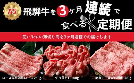 【ふるさと納税】A5飛騨牛を3カ月連続で食べる定期便