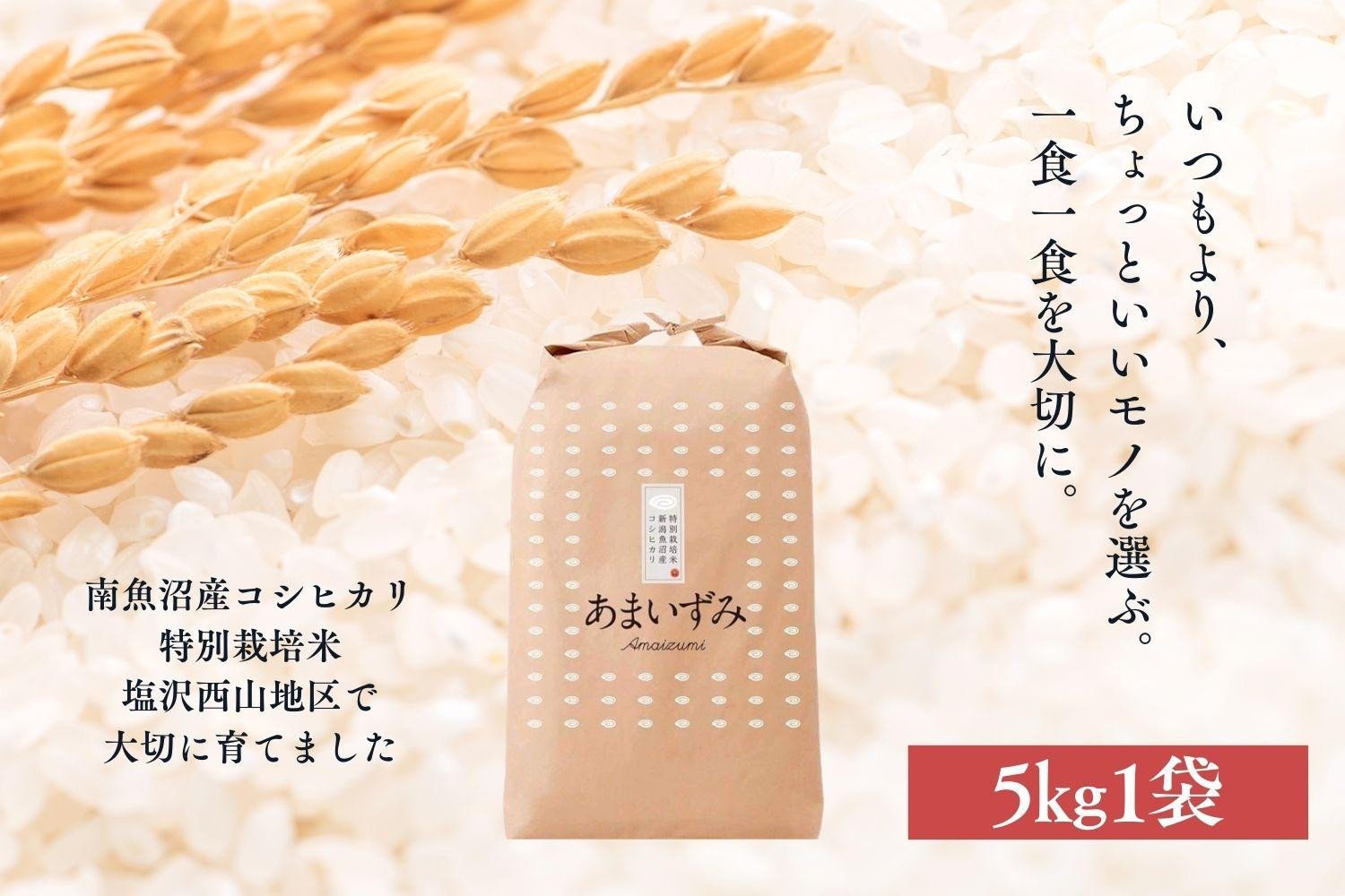 
            【令和7年産新米予約】【白米】令和7年度産 あまいずみ 南魚沼産コシヒカリ 5kg【2025年10月上旬より順次発送予定】
          