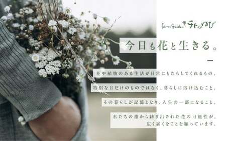 お花（生花）の6回定期便 花 定期便 生花 お花 鳥取県 倉吉市