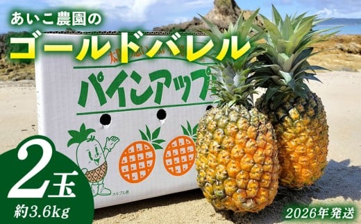 あいこ農園のゴールドバレル　2玉（約3.6kg）多冠芽・無冠芽含む 2026年発送 沖縄県産 東村 パイナップル ジューシー 希少 高級フルーツ 南国フルーツ 国産フルーツ 農家直送 パイン 果物 贈り物 おすすめ お土産 人気 やんばる 大自然 南国気分 沖縄本島北部