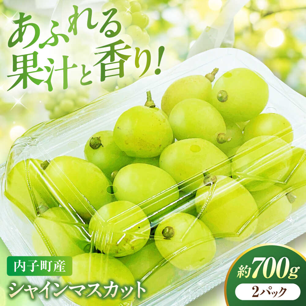 【ふるさと納税】【先行予約】シャインマスカット 350g×2パック パック詰め ＜2026年8月下旬～発送開始＞ ／ シャインマスカット 大人気 美味しい 人気 皮ごと 葡萄 ブドウ 愛媛県産 内子町産 新鮮 旬 フルーツ 果物 くだもの【株式会社フジ・アグリフーズ】[BKAY006]