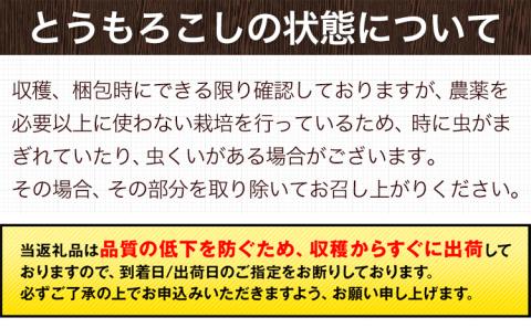 日本最速級出荷 朝採り ゴールドラッシュ 20本入り 3L-Lサイズ 《6月上旬- 6月末頃出荷》  とうもろこし トウモロコシ---oz_cgrdr_ac6_r7_18000_20p---st-p
