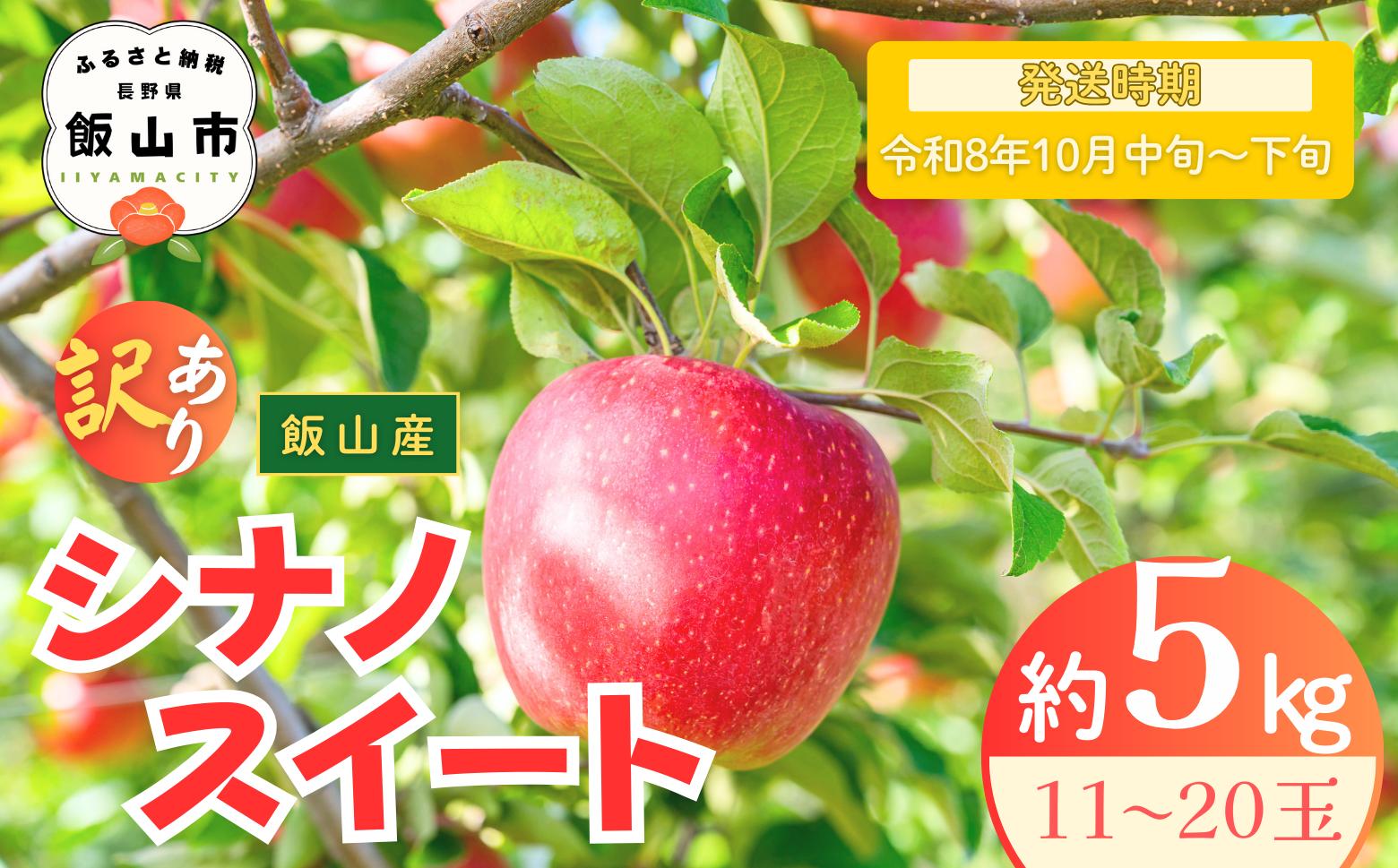 
            【先行予約丨2026年10月中旬より順次発送】訳あり シナノスイート【約5kg(11〜20玉)】(At-021)丨長野県 飯山市 おすすめ ランキング おいしい 高評価 大人気 先取り 産地直送 りんご 訳あり 規格外
          