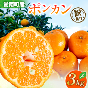 【先行受付】訳あり ポンカン 3kg【発送時期 1月中旬~2月中旬】 ぽんかん みかん 蜜柑 柑橘 冬 清家ばんかんビレッジ 愛媛 愛南