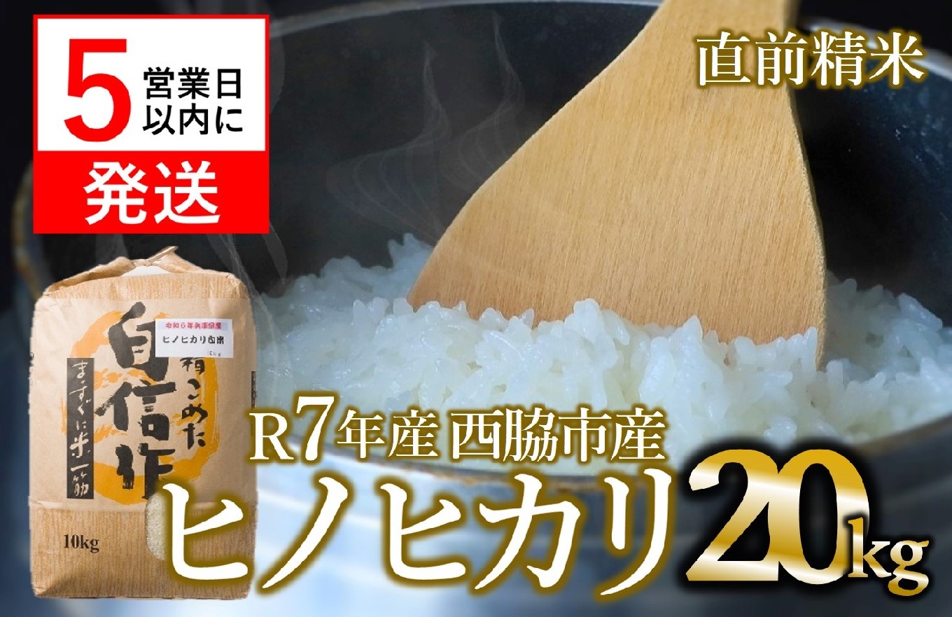 
                  【スピード発送】ヒノヒカリ 20kg 白米 令和7年産 米 お米 こめ コメ ヒノヒカリ ひのひかり 人気 白米 兵庫県産 20kg 精米
                