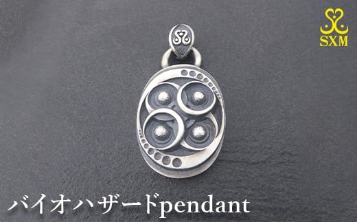
            バイオハザードpendant
          