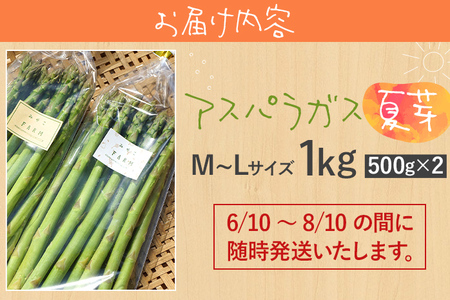 予約受付 数量限定 アスパラガス 夏芽 M~Lサイズ 1kg（500g×2） 2025年6月～8月頃 野菜福岡県 福岡 九州 グルメ お取り寄せ