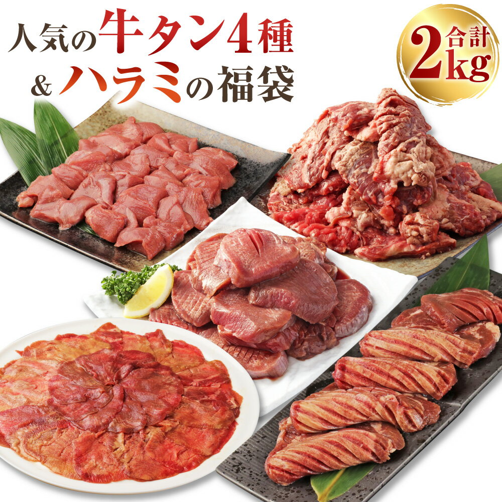 【ふるさと納税】人気の牛タン4種＆ハラミの福袋 計2kg 厚切りスライス サイコロステーキ 薄切りスライス 極厚 厚切り牛ハラミミニステーキ 牛タン 牛舌 ハラミ 牛肉 お肉 セット 詰め合わせ 冷凍 熊本県 水上村 送料無料