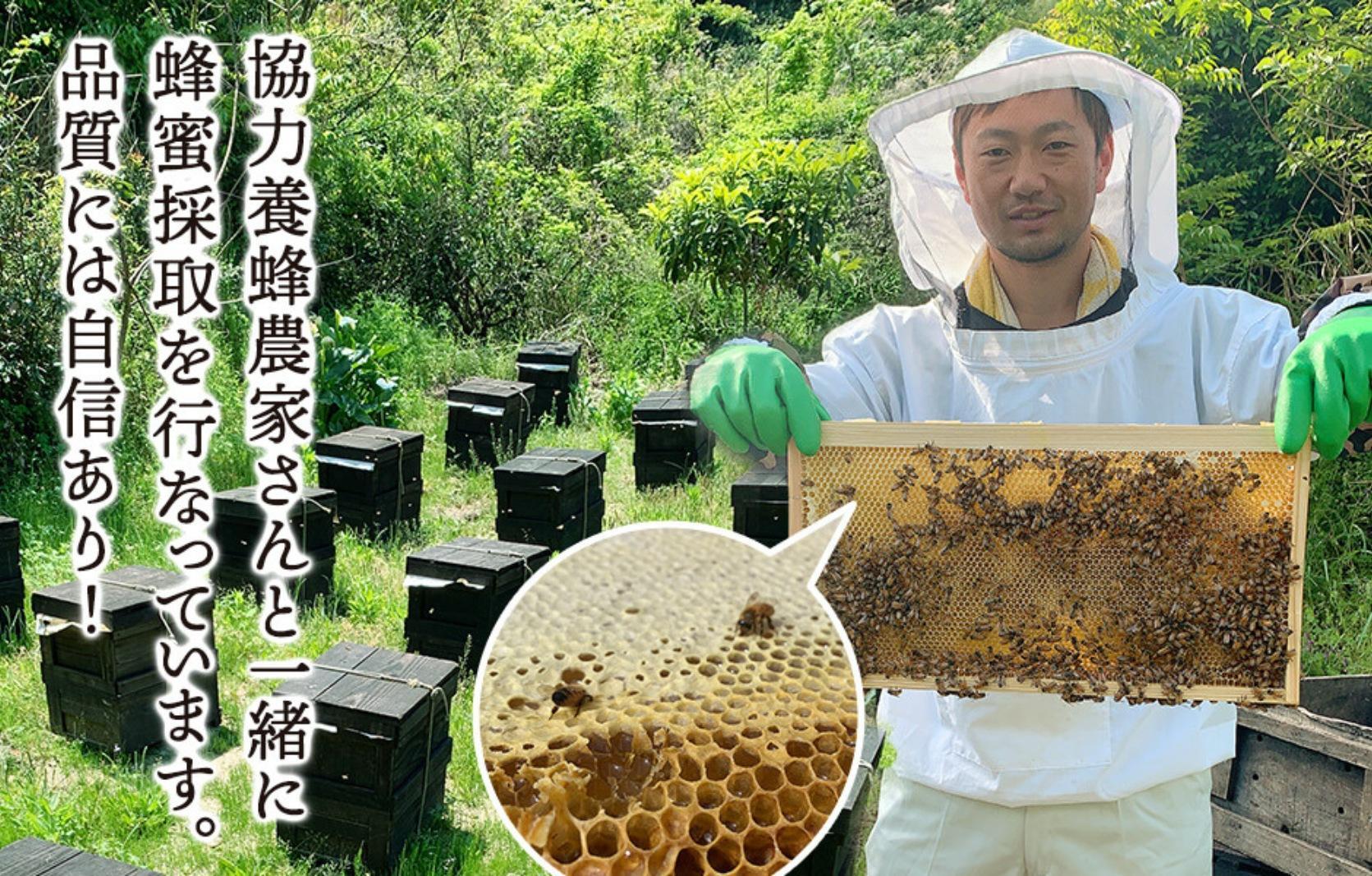はちみつ 有田のみかん蜂蜜 210g 和歌山県産 産地直送 【みかんの会】   AX383