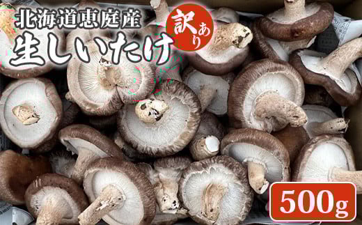 
            北海道恵庭産 生しいたけ 500g 20個前後 数量限定 訳あり品 訳あり オンライン 申請 ふるさと納税 北海道 恵庭 生椎茸 しいたけ 椎茸 菌床 きのこ 栄養満点 肉厚 濃厚 採れたて 野菜 鮮度抜群 恵庭市【800007】
          