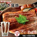 【ふるさと納税】【定期便】鰻天屋の九州産 うなぎ 蒲焼 約140g×2尾 セット 《選べる定期回数》【3ヶ月定期便】【4ヶ月定期便】【5ヶ月定期便】【6ヶ月定期便】【12ヶ月定期便】 たれ 山椒 鰻 ウナギ 蒲焼き 国産 冷凍 送料無料 鹿児島、宮崎、熊本等産うなぎ原料使用