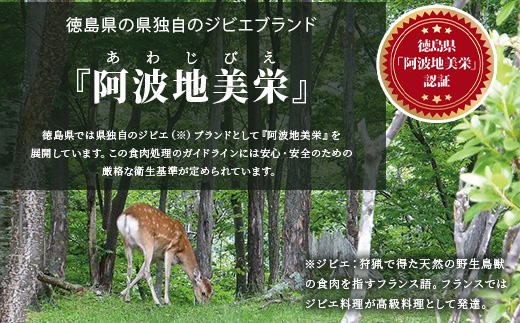 お試し【阿波地美栄】国産 徳島県産 二ホンジカ 鹿ロース肉 ※すじなし 400g NH-20