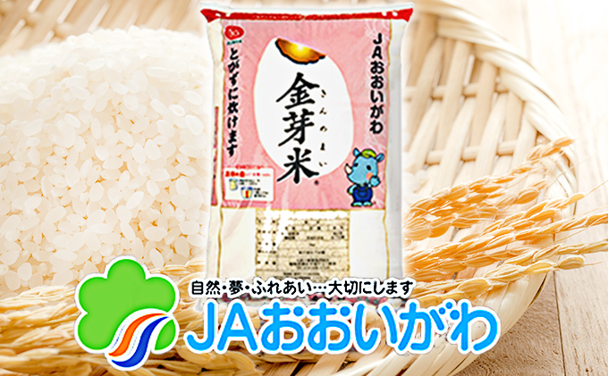 無洗米 静岡県産 JAおおいがわ 金芽米 5kg 3袋 (合計15kg) 米 こめ コメ お米 おこめ 白米 きんめまい JA きぬむすめ ご飯 ライス 静岡 静岡県 島田市 【配送不可：北海道・沖縄
