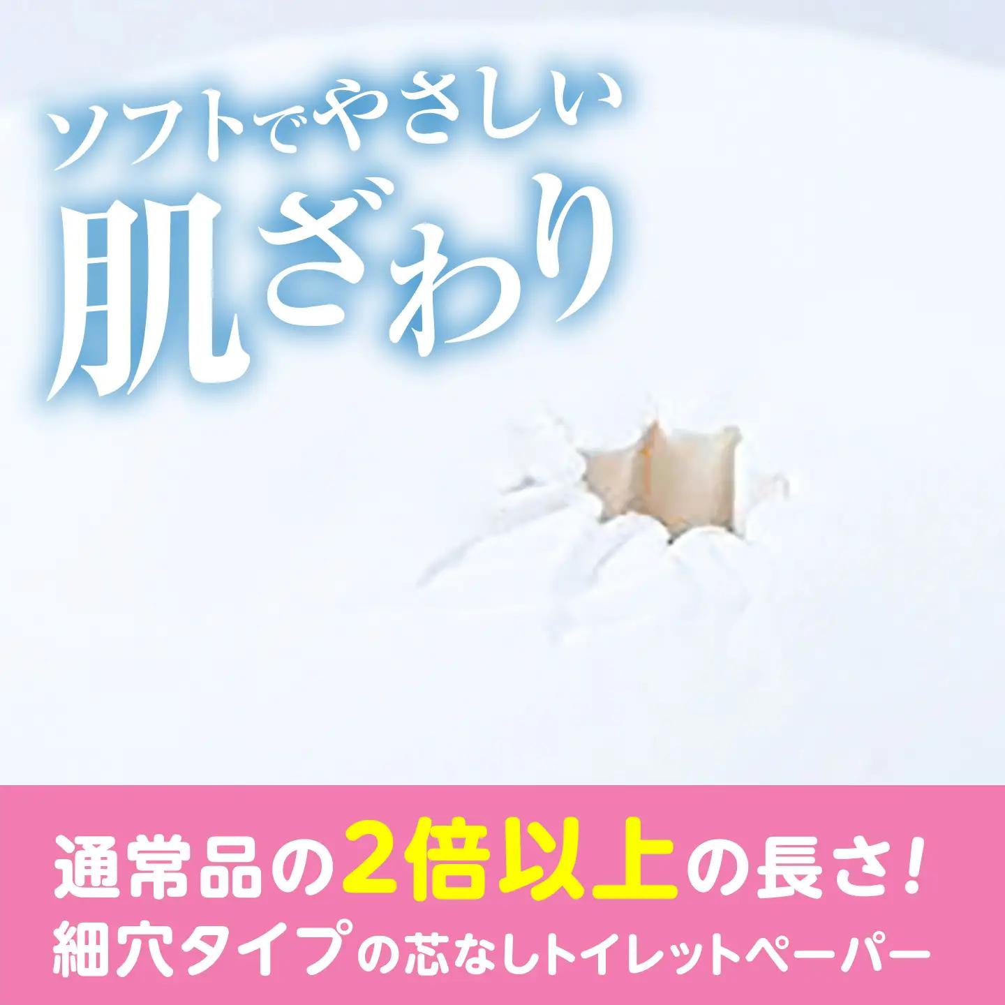 【全3回定期便】【細穴タイプ】トイレットペーパー ダブル 65m 6ロール×8P [VAA043] トイレット