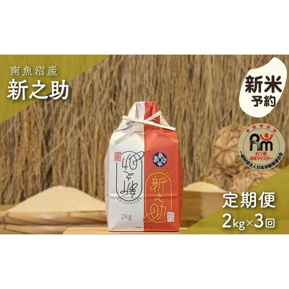 【新米予約】令和８年産「五つ星お米マイスター」の南魚沼産新之助　精米２kg×３回（毎月定期便）【定期便 銘柄米 ブランド米 精米 新之助 魚沼産 新潟米 産地直送 お米 米 こめ コメ ご飯 御飯 ごはん】【2026年10月下旬から1ヶ月以内に順次発送予定】
